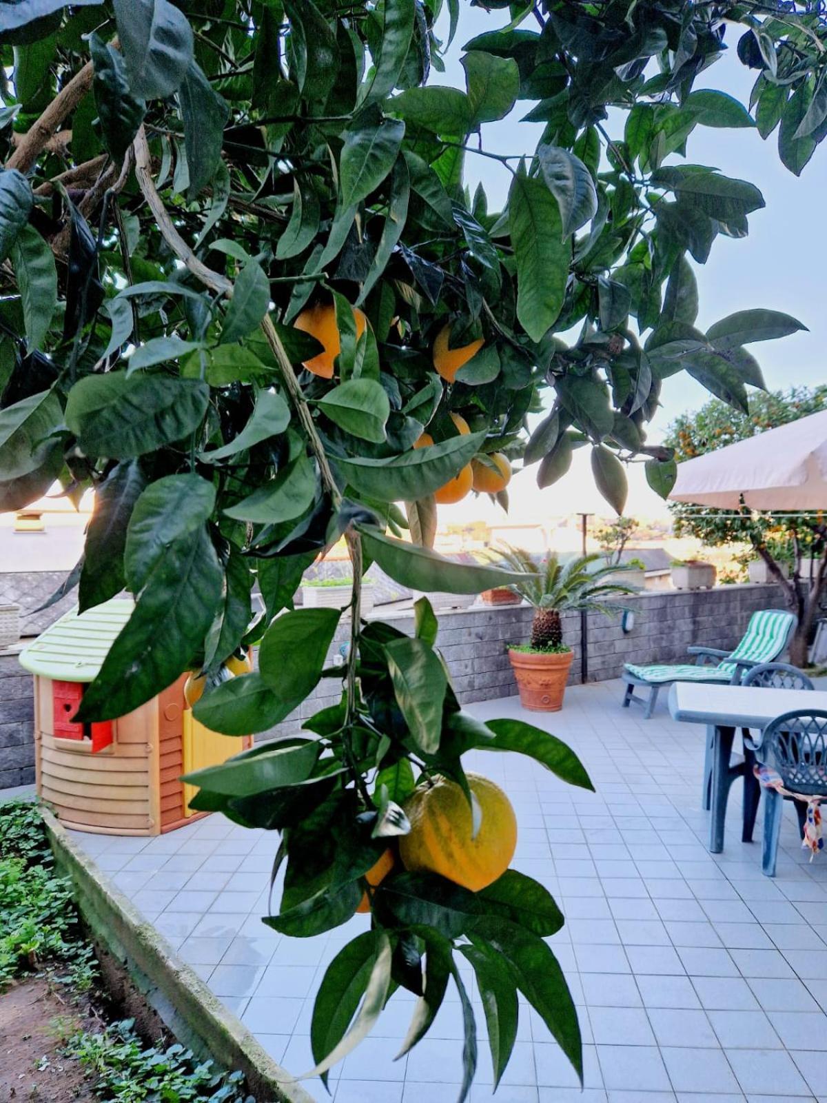 Fuga A Napoli Apartment Exterior foto